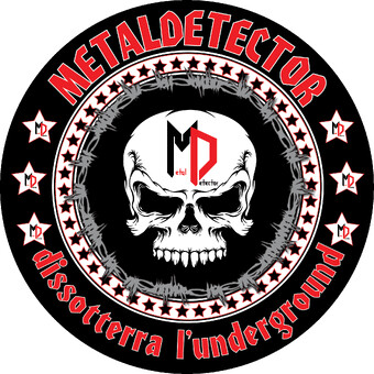 metaldetector