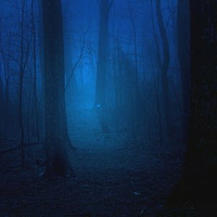 Blue Mist by Daniele Cirignotta