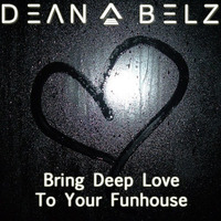 Bring Deep Love To Your Funhouse (Calvin Harris &amp; Disciples vs Evanescence vs Pink) by Dean Belz