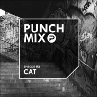 Punchmix#2 - Cat by Punchblog