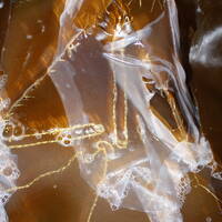 Lytternes Dansefest 5 Closing Sett by Movie Star Galaxy