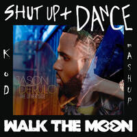Shut Up And Take Me To The Other Side by KoD mASHUP