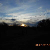 Surrender by Mutzchler Stewart & Monds