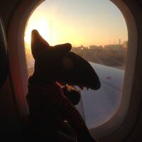 six days DJ Shadow cover by Cyril