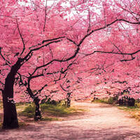 Soulful House Show 2023-04-01 by Dj TuXxL