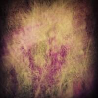 Tollstoi - Exclusive Nightflight Guest Mix - 15.04.14 by Tobias Koch - Nightflight - Radio FRITZ