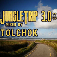Tolchok - JungleTrip 3.0 - PromoMix by JungleTrip PromoMixes