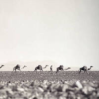 Grenzpunkt Null - Eine psychotropische Hitzewelle oder Die Sonne von Tabris. by Grenzpunkt Null Sound