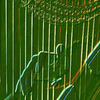 G&eacute;rard Delassus - S&eacute;lection &eacute;t&eacute; 2018