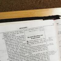 Im Chefbüro - Predigt zu Hesekiel 34,1–2.10–16.31, gehalten von Benjamin Rönsch by Predigtpodcast