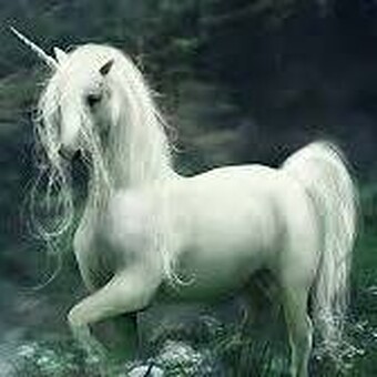 Eli&scaron;ka Neničkov&aacute;