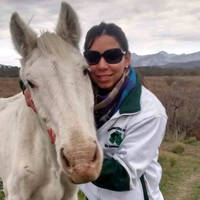 Josefina Pardo - Presidente fundación equinoterapia - Robo de caballos by unjuradio04