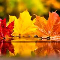 November 2014 #hiphop #trap #rnb #reggae 2 by Paul Cassella aka Djdealeyo