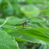 2022-02-14 La Compagnie Des Terriens #04 - Architecture bioclimatique by RDB (rdbfm)
