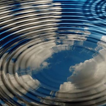 Crescere al di dentro