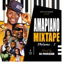 AMAPIANO MIXTAPE - DJ PAYASAM by DJ PAYASAM
