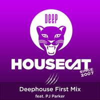 Deep House Cat Show - Deephouse First Mix - feat. PJ Parker by Deep House Cat Show