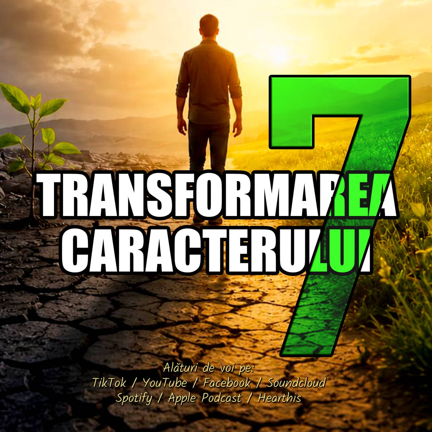 Transformarea Caracterului 7 episode artwork
