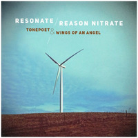 We Are Temporary And We Are Beautiful As Such (Resonate / Reason Nitrate) by Tonepoet