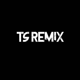 TS REMIX