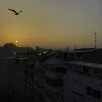 Ay Palas 29.12.2025 @ ApAcik Radyo by Ay Palas