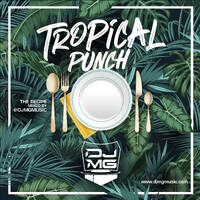 The Recipe Vol. 11 - Summer Edition by djmgmusic