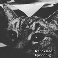 The Icebox Radio Podcast Episode 47 by NyxSix Supernova