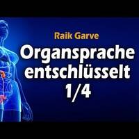 Die Organsprache unserer Biologie entschlüsselt (Teil 1_4) by NuoFlix