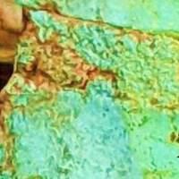 Annie D - AnyBreaks by Eddy Breaks