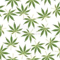 Grenzpunkt Null. Das Leben der Insekten oder Papirossi der 4. Qualität by Grenzpunkt Null Sound