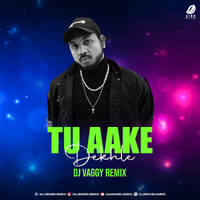 Tu Aake Dekhle (Remix) - DJ Vaggy by All Indian DJs Drive
