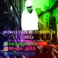 Matured Vibes Vol 1 (Tribute to boyza by Mreja_M18