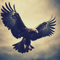 Embrace the Race - 01 What a Rush by embracethemusic