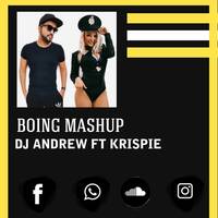 Boing (DVLM) DJ Andrew FT Krispie Mashup by Andrew Sebastian 