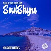 #005 SoulShyne Smooth Grooves by RADIO SoulShyne
