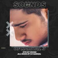SOUNDS OF NARWAL 3