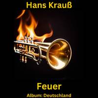 Feuer by Hans Krauß