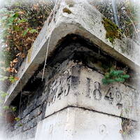 201906 - le FORT de Romainville by RACINES du 93