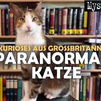 Paranormale Tiere und ein seltsamer Traum in Großbritannien_! Die Welt des Übersinnlichen by NuoFlix