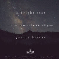 Scott Lawlor - A Bright Star (naviarhaiku 287) by Naviar Records