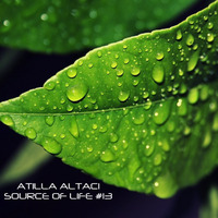 Atilla Altaci - Source Of Life #13 by Atilla Altaci