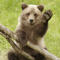 DeaneTR - Gary Lawlesss - Little by Little by Warriorpoets