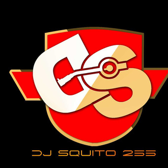 DJ SQUITO 255 THE VIBE MASTER