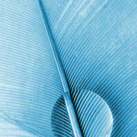 Feed Your Hunger 23.09.2017 - Trance Mix by Female@Work by DJ Female@Work, FemaleAtWorkTranceDJ (Birgit Fienemann)