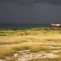 Never belong to you by Bojangle