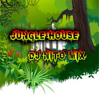 jungle set by dj nito july2021 by djnito9