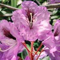 A Moment of Silence (A Show for Stephen) by NyxSix Supernova