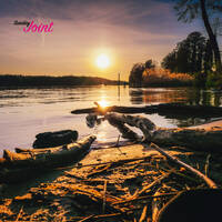 Calamity Jade - Spliff Mood (Sunday Joint) by Blogrebellen