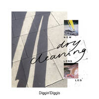 Diggin’ Diggis#28 — Dry Cleaning by Radio Woltersdorf