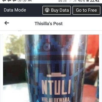 Mandla Sebolai Nduli